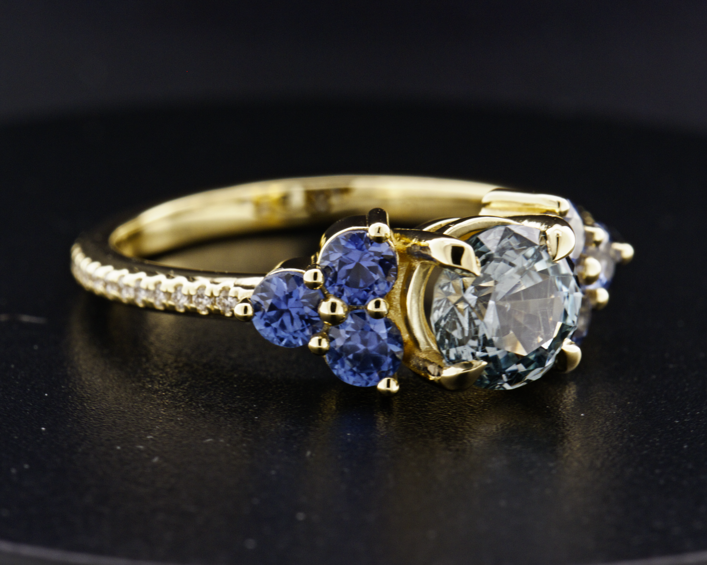 BIG SKY BEAUTY _ engagement ring