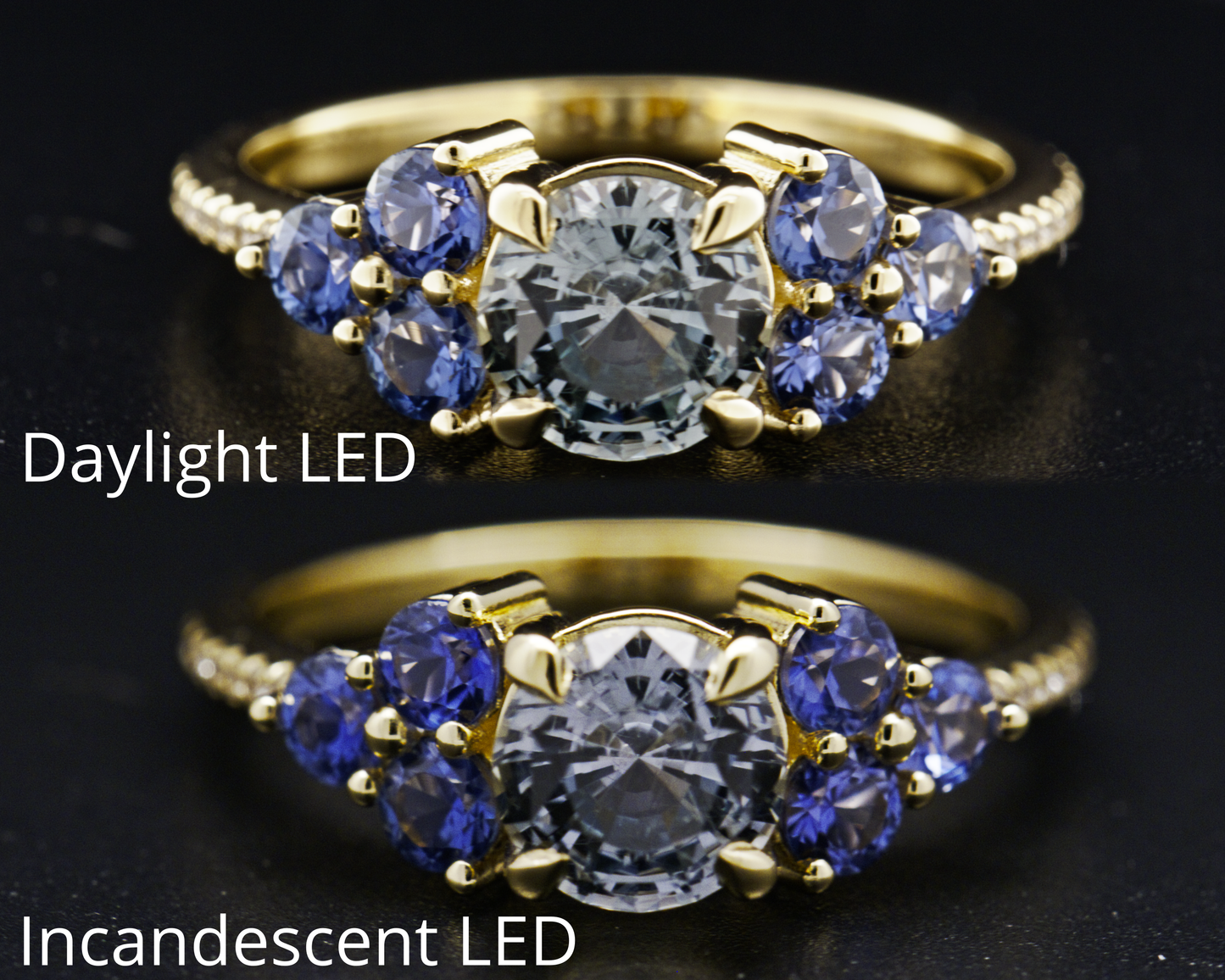 BIG SKY BEAUTY _ engagement ring